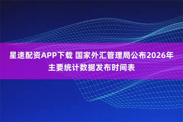 星速配资APP下载 国家外汇管理局公布2026年主要统计数据发布时间表